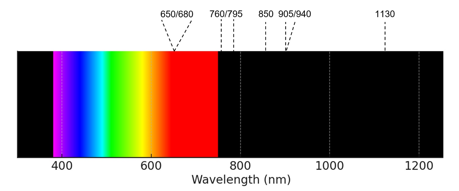 An electromagnetic spectrum showing wavelengths. They include: 650/800 760/795 850 905/940 1130